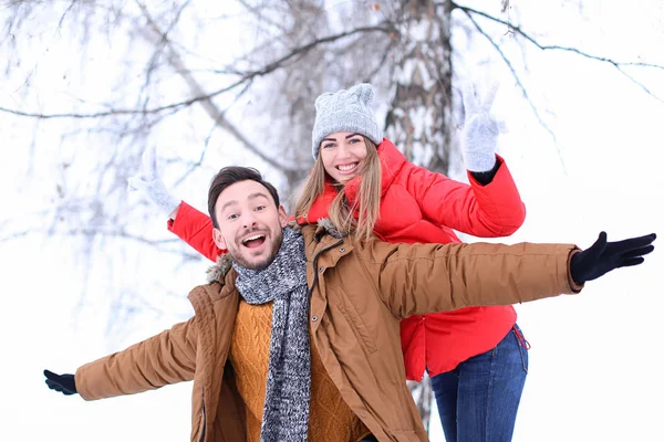 Jovem casal no parque nevado em férias de inverno — Fotografia de Stock