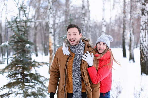 Jovem casal no parque nevado em férias de inverno — Fotografia de Stock