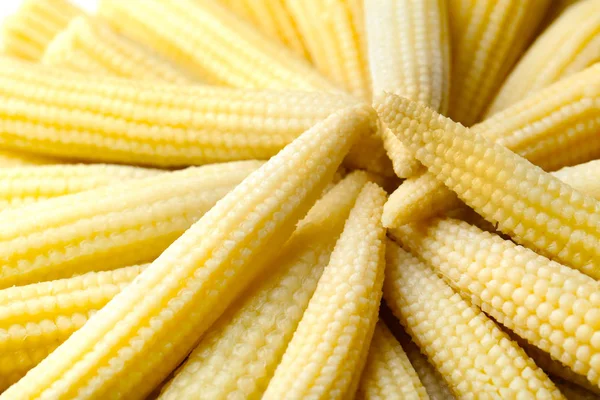 Fresh young baby corn, closeup — Stock Photo, Image