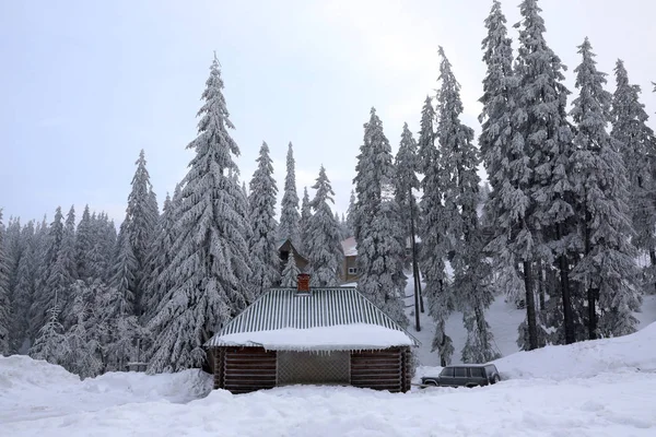 Hermoso complejo en el bosque en el día nevado. Vacaciones de invierno —  Fotos de Stock