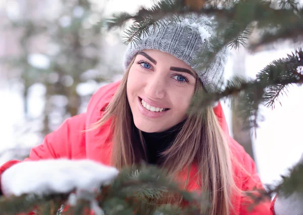 Beautiful woman near fir tree in park on winter vacation — Stock Photo, Image