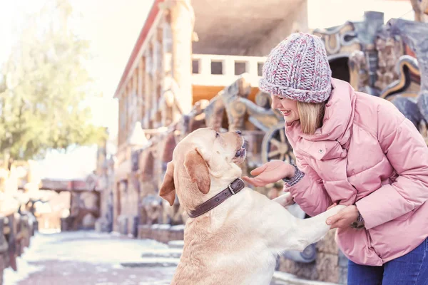 Mulher andando cão bonito ao ar livre no dia de inverno. Amizade entre animal de estimação e proprietário — Fotografia de Stock