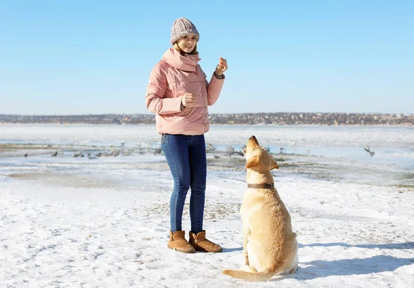 妇女训练可爱的狗户外在冬天的一天。宠物与主人之间的友谊 — 图库照片