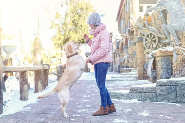 冬天的时候, 女人在户外散步可爱的狗。宠物与主人之间的友谊 — 图库照片
