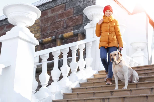 Mulher andando cão bonito ao ar livre no dia de inverno. Amizade entre animal de estimação e proprietário — Fotografia de Stock