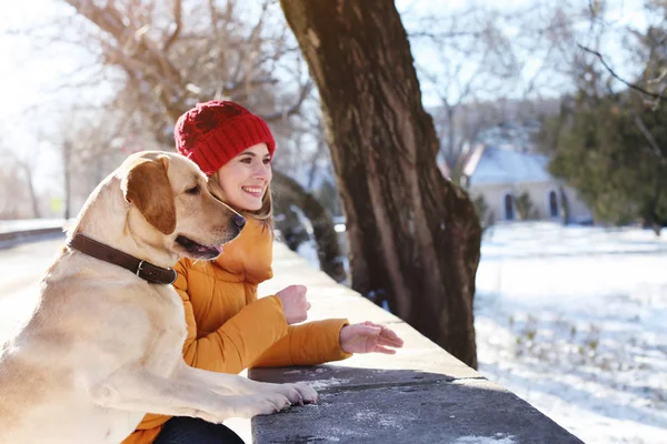 Mulher Andando Cão Bonito Livre Dia Inverno Amizade Entre Animal — Fotografia de Stock
