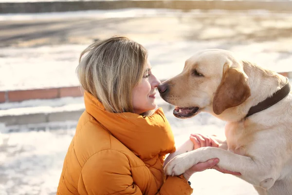 Frau Mit Süßem Hund Freien Einem Wintertag Freundschaft Zwischen Haustier — Stockfoto