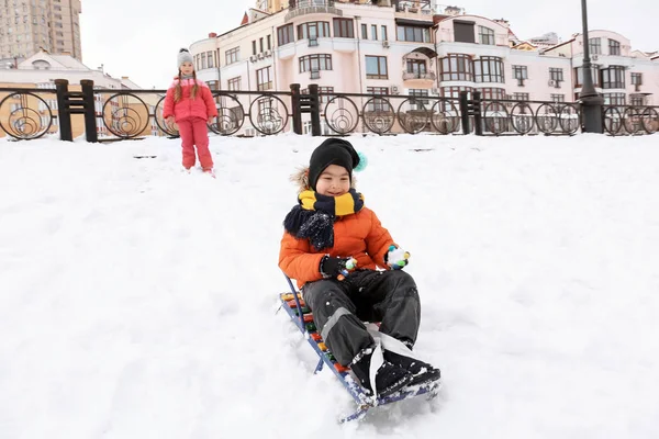 可爱的男孩雪橇在雪公园在冬天假期 — 图库照片