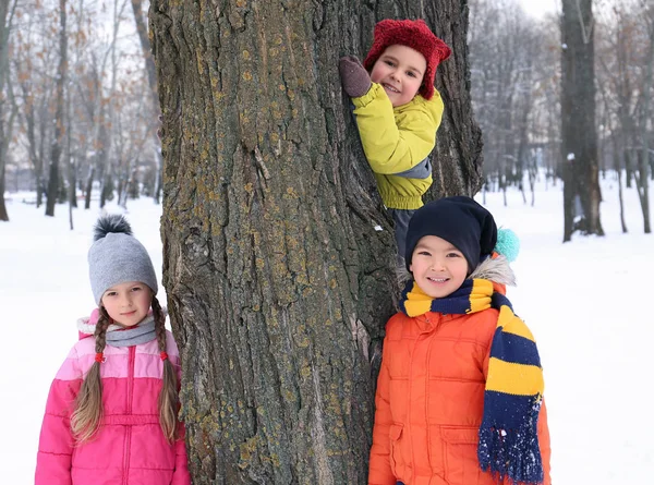 Glückliche Kinder in der Nähe von Baum im verschneiten Park im Winterurlaub — Stockfoto