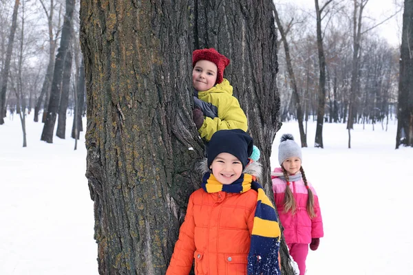 Glückliche Kinder in der Nähe von Baum im verschneiten Park im Winterurlaub — Stockfoto