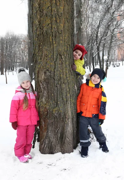 Glückliche Kinder in der Nähe von Baum im verschneiten Park im Winterurlaub — Stockfoto