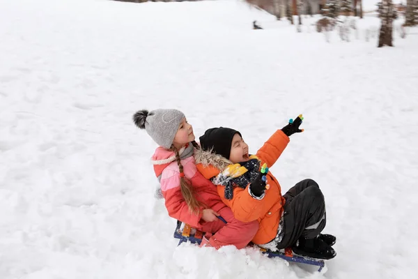 Söta barn pulka i snöig park på vintersemester — Stockfoto