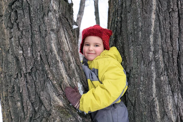 Netter Junge auf Baum im verschneiten Park im Winterurlaub — Stockfoto