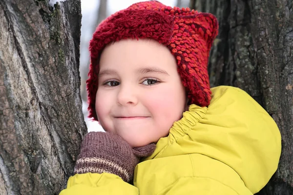 Netter Junge auf Baum im verschneiten Park im Winterurlaub — Stockfoto