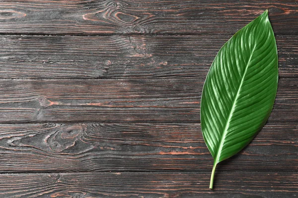 Big leaf of tropical banana palm on wooden background — Stock Photo, Image