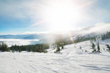 Karlı Resort kayak pisti