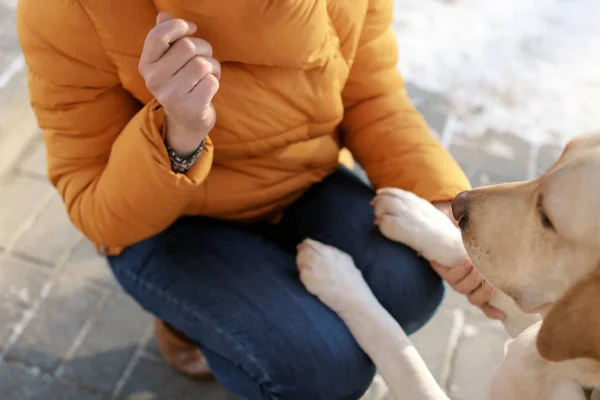 Женщина играет с симпатичной собакой — стоковое фото