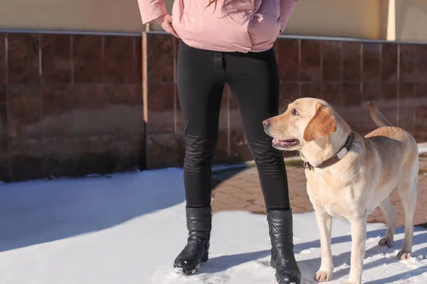 Woman walking with cute dog — Stock Photo, Image