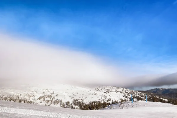 Лыжный склон на снежном курорте — стоковое фото
