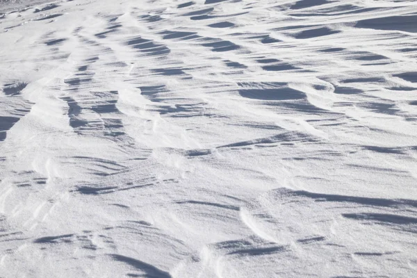 Skinande ren snö på vintern — Stockfoto