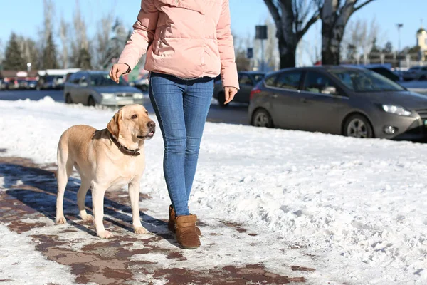 女人散步与可爱的狗 — 图库照片