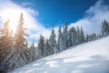 Kış günü karlı Resort kayak pisti