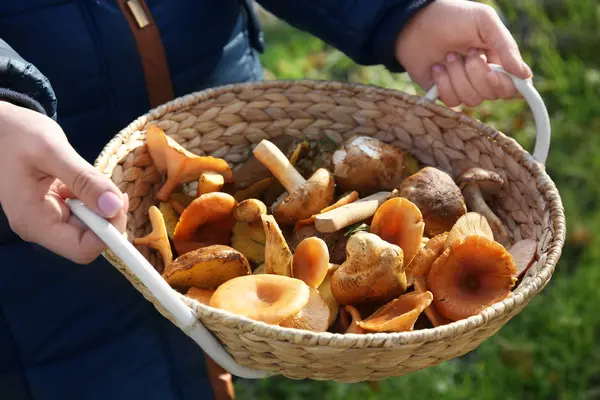 Kadın el ile hasır sepet farklı mantar açık havada tam yakın çekim