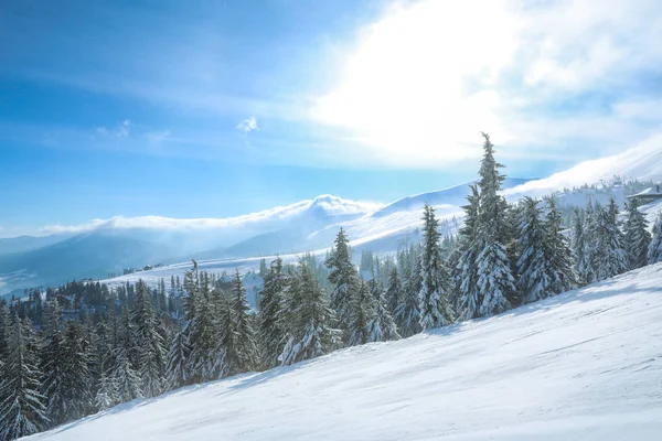 Ski Slope Snowy Resort Sunny Winter Day — Stock Photo, Image