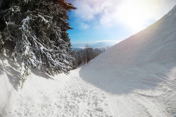 Ski Slope Snowy Resort Sunny Winter Day — Stock Photo, Image