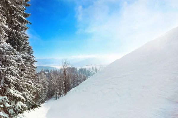 Paisaje Nevado Con Bosque Abeto Día Invierno — Foto de Stock