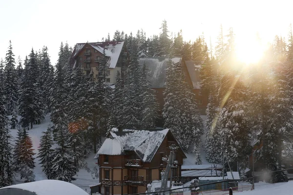 Vacker Resort Skogen Snöig Dag Vintersemester — Stockfoto