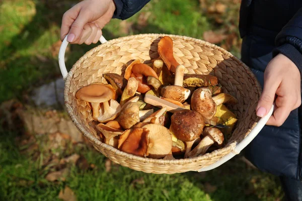 Kadın el ile hasır sepet farklı mantar açık havada tam yakın çekim
