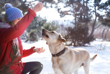 Sevimli köpek ile açık havada kış gününde oynayan kadın. Evde beslenen hayvan ve sahibi arasındaki dostluk