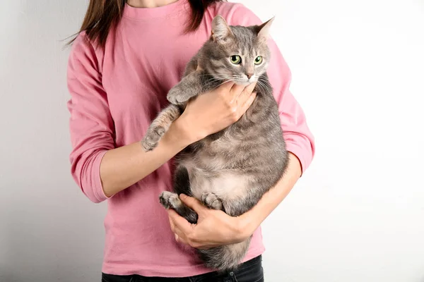 Женщина держит смешной толстый кот на белом фоне — стоковое фото