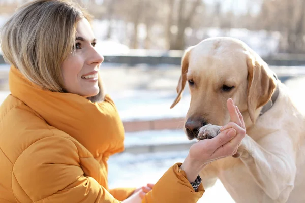 Frau mit süßem Hund im Freien an einem Wintertag. Freundschaft zwischen Haustier und Besitzer — Stockfoto