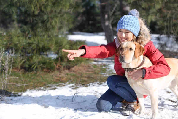 Woman walking cute dog outdoors on winter day. Friendship between pet and owner — Stock Photo, Image