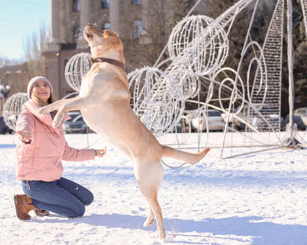 Woman playing with cute dog outdoors on winter day. Friendship between pet and owner — Stock Photo, Image