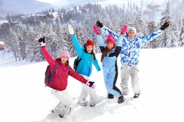 Grupp Glada Vänner Snöiga Landskapet Vintersemester — Stockfoto