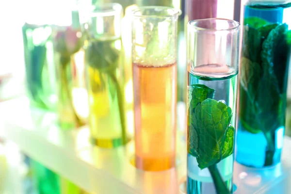 Glass Tubes Different Perfume Oils Rack — Stock Photo, Image