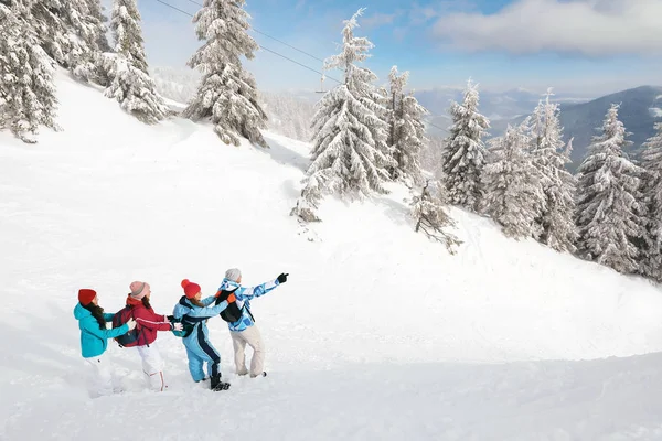 Grupp Vänner Som Reser Snöiga Landskapet Vintersemester — Stockfoto