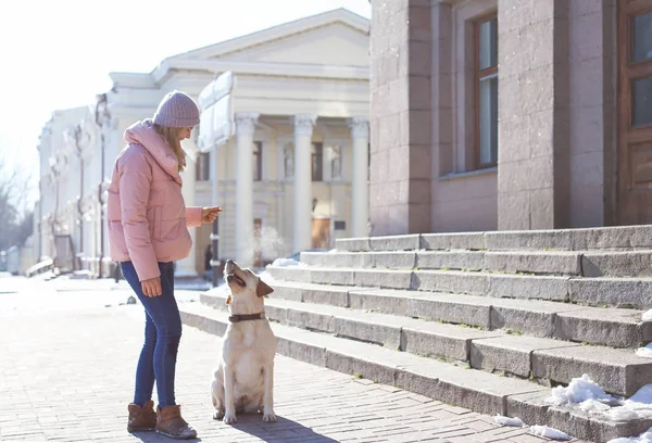 Женщина выгуливает милую собаку — стоковое фото