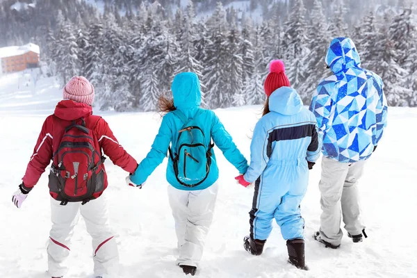 Groupe Amis Voyageant Dans Une Campagne Enneigée Vacances Hiver — Photo