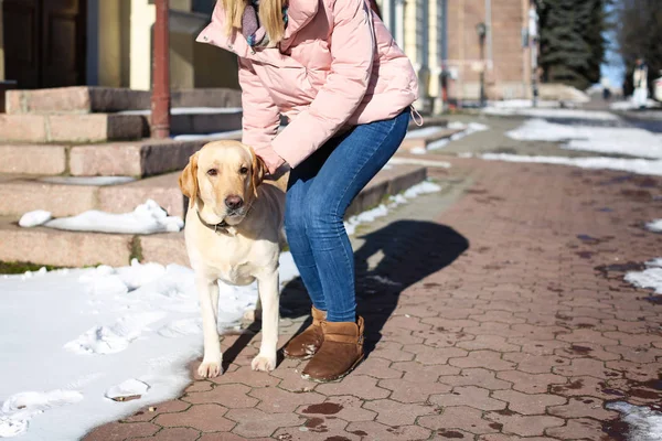 Frau geht niedlichen Hund — Stockfoto