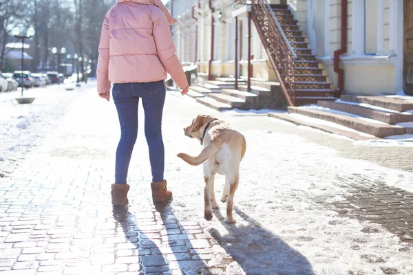 Frau geht niedlichen Hund — Stockfoto