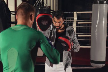boksörler spor salonunda eğitim