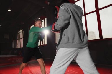boksörler spor salonunda eğitim
