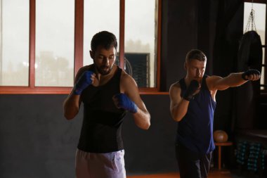 boksörler spor salonunda eğitim