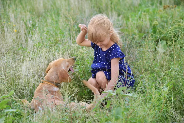 Cute Little Girl Dog Outdoors — Stock Photo, Image
