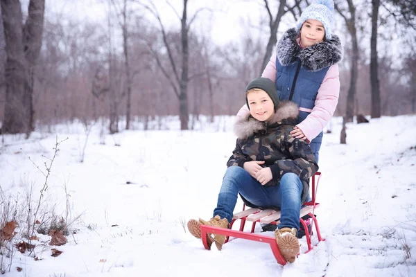 Niedliche Kinder Mit Schlitten Verschneiten Park Winterurlaub — Stockfoto