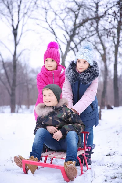 Niedliche Kinder Rodeln Verschneiten Park Winterurlaub — Stockfoto